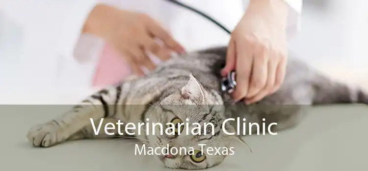 Veterinarian Clinic Macdona Texas