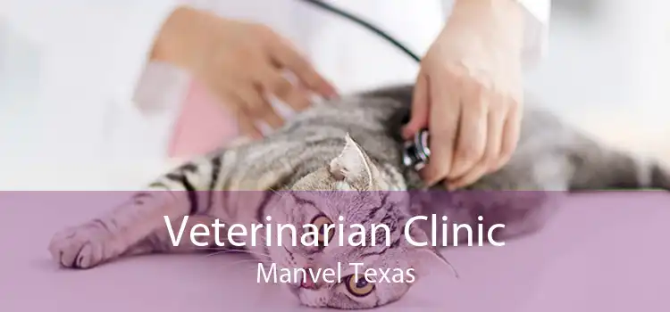 Veterinarian Clinic Manvel Texas