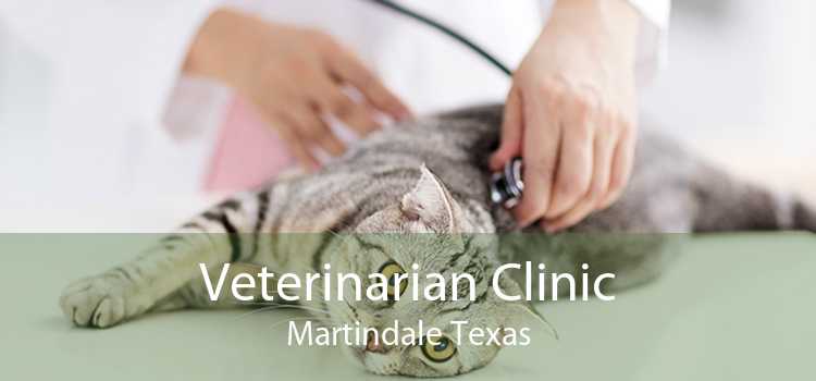 Veterinarian Clinic Martindale Texas