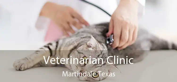 Veterinarian Clinic Martindale Texas