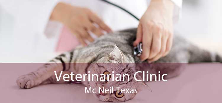 Veterinarian Clinic Mc Neil Texas