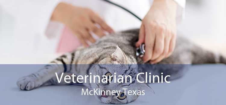 Veterinarian Clinic McKinney Texas