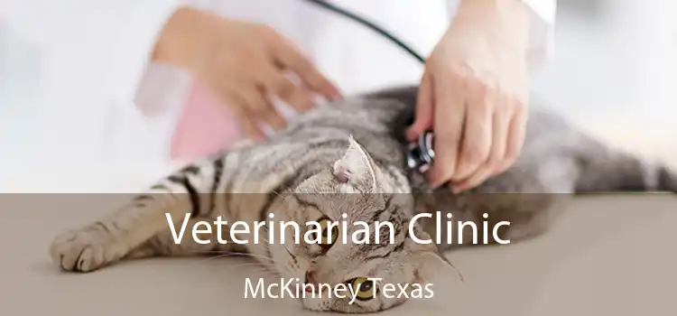 Veterinarian Clinic McKinney Texas