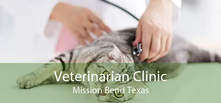 Veterinarian Clinic Mission Bend Texas