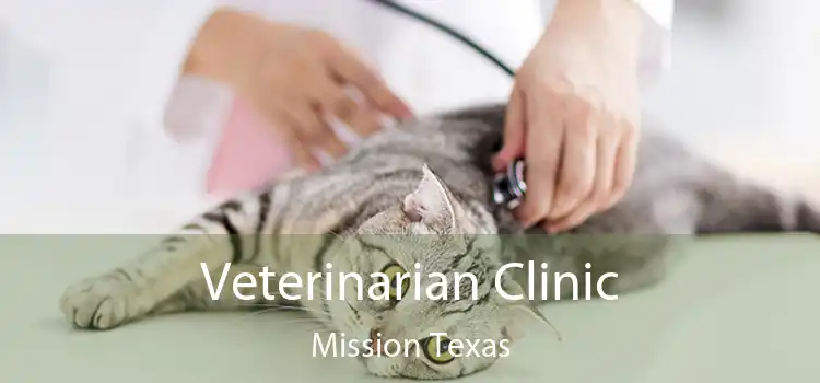 Veterinarian Clinic Mission Texas