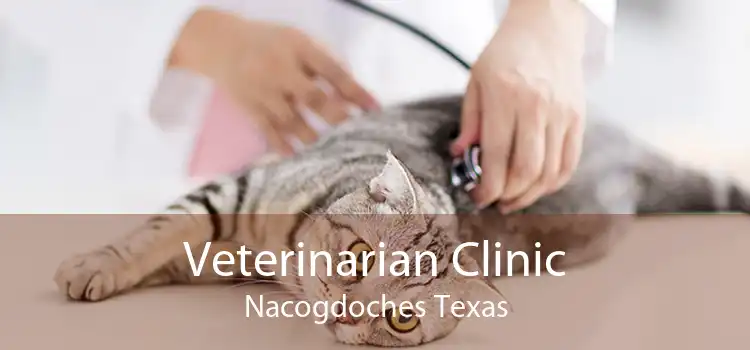 Veterinarian Clinic Nacogdoches Texas