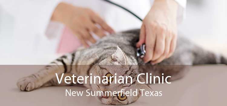 Veterinarian Clinic New Summerfield Texas