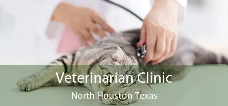 Veterinarian Clinic North Houston Texas