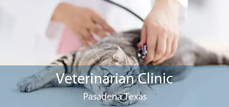 Veterinarian Clinic Pasadena Texas