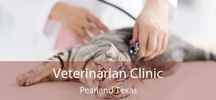 Veterinarian Clinic Pearland Texas