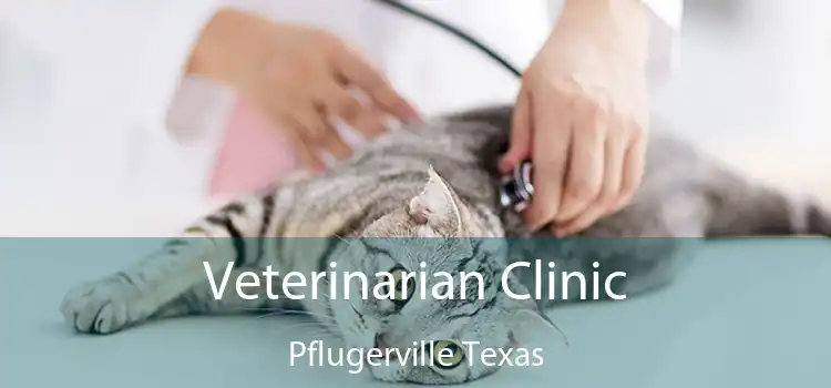 Veterinarian Clinic Pflugerville Texas