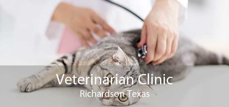 Veterinarian Clinic Richardson Texas