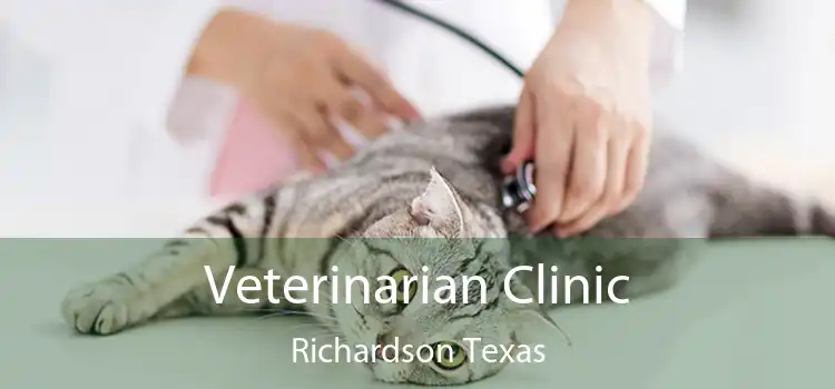 Veterinarian Clinic Richardson Texas