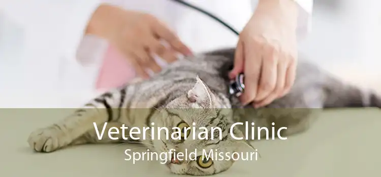 Veterinarian Clinic Springfield Missouri