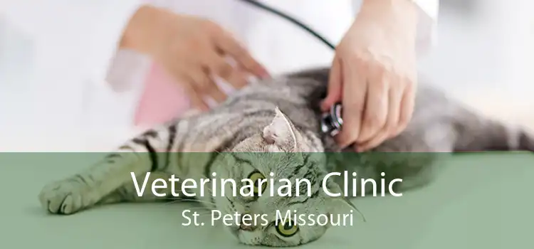 Veterinarian Clinic St. Peters Missouri