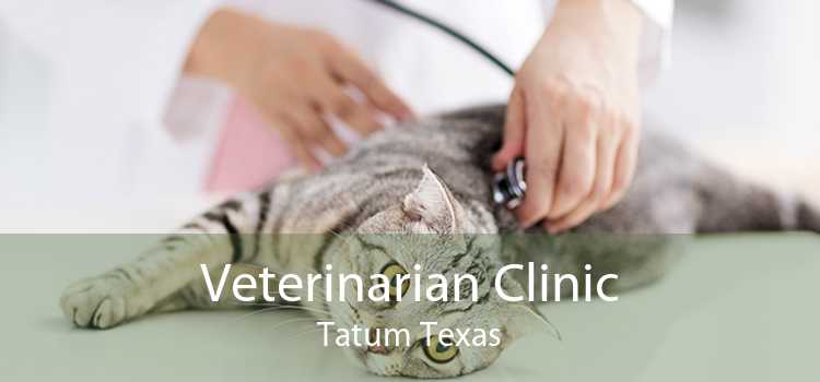 Veterinarian Clinic Tatum Texas