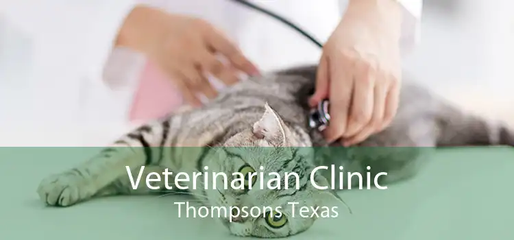 Veterinarian Clinic Thompsons Texas