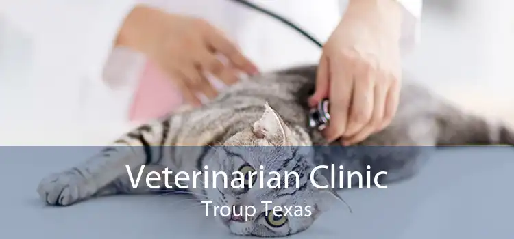Veterinarian Clinic Troup Texas