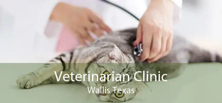 Veterinarian Clinic Wallis Texas