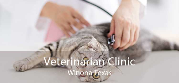 Veterinarian Clinic Winona Texas